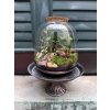 Mechárium